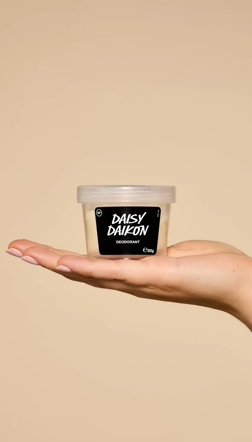 Daisy Daikon